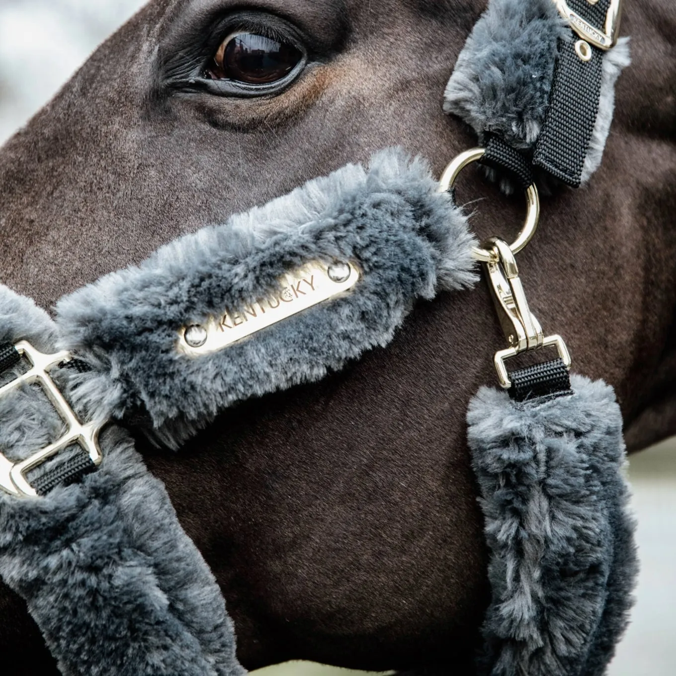 Kentucky Horsewear Sheepskin Headcollar - Grey